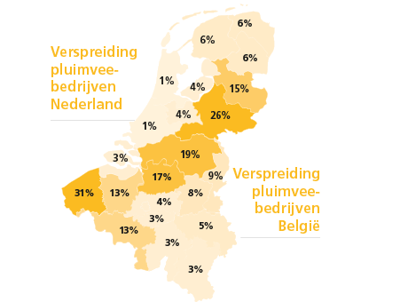 Pluimveebedrijf-adverteren-voorbeeld-data