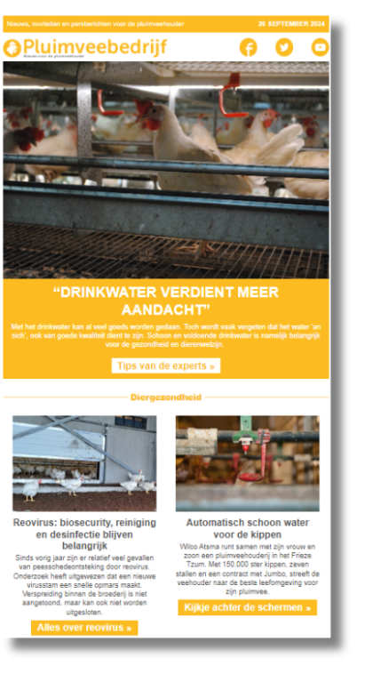 Pluimveebedrijf-adverteren-voorbeeld-nieuwsbrief-