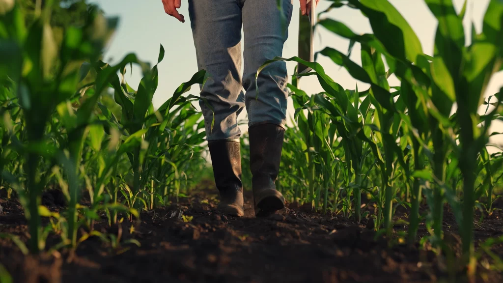 Allround uitgeverij agri