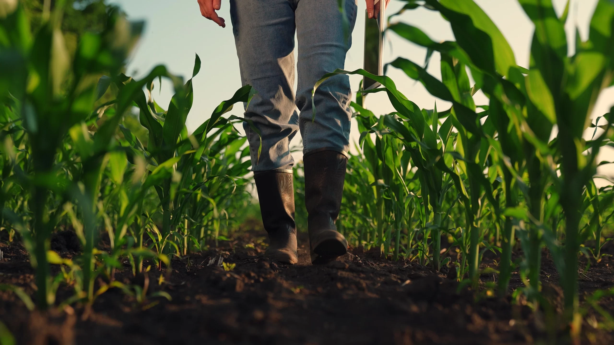 Allround uitgeverij agri