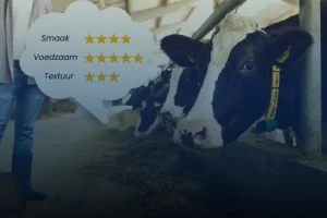 Prosu - social proof in adverteren