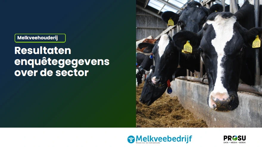 Onderzoek melkveehouders