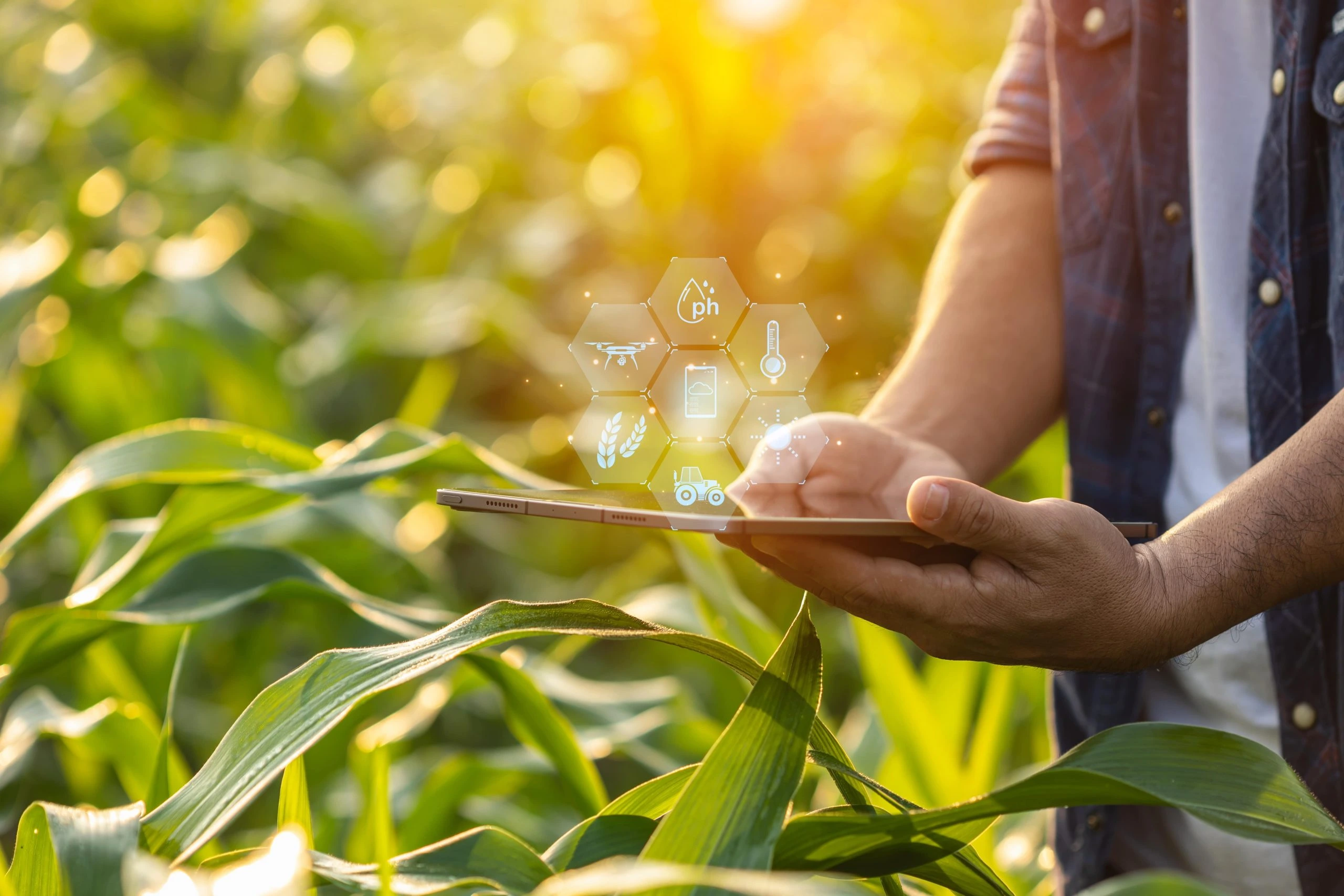 Data agri