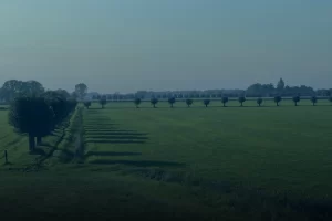 Onderzoek agri